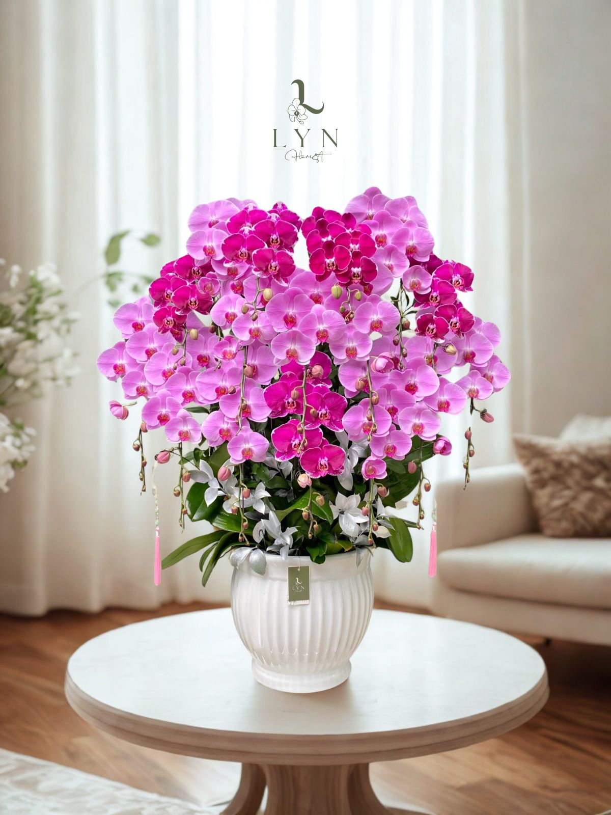 Chậu Hoa Lan Hồng Phối Màu